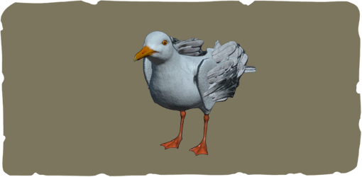 Seagull